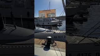 Harbour Turns into Tourist Jungle #omg #viral #chaos #boatlife #hafenkino #boatfail #travel #shorts