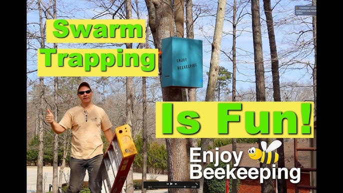 Swarm Commander VS. Lemongrass Oil Experiment 🐝 #swarms #honeybees  #beekeeping 