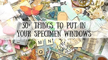 30+ Things to put in Specimen Cards |🦋ShanoukiArt🦋🧿