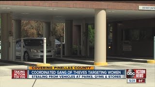 "Felony Lane Gang" operating in Pinellas County