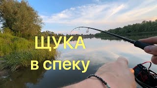 видео: ЩУКА в спеку!! НА ЩО КЛЮЄ і де шукати картинка: ЩУКА в спеку!! НА ЩО КЛЮЄ і де шукати