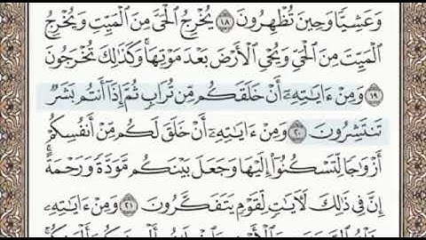 سورة الروم الصفحة 406 الشيخ محمد صديق المنشاوي