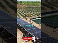 Top 5 African Countries Leading in Renewable Energy #africa #renewableenergy #solarenergy #top5