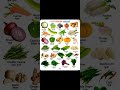 Vegetable vocabulary