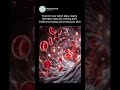 Your Body Never Gives Up on You