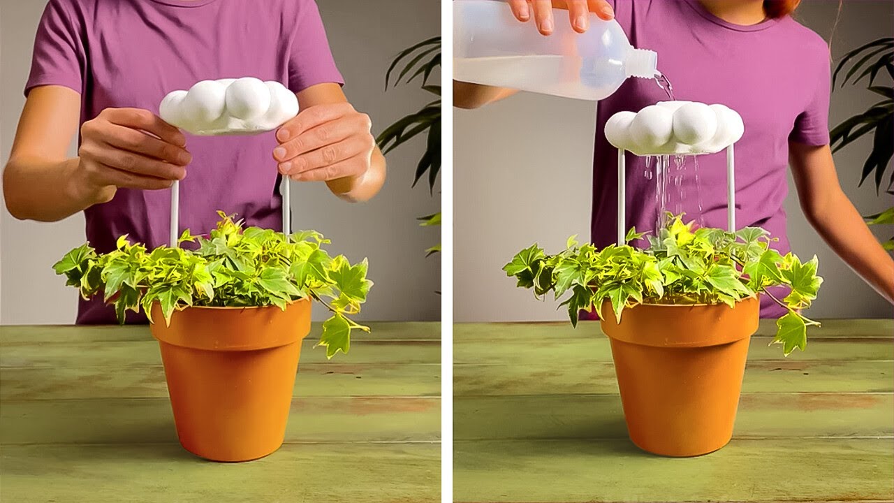 HousePlant tip for Beginners and Profi. Great Gardeners hacks