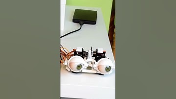 Mastering Robotic Eye Engineering with Servo Motors
