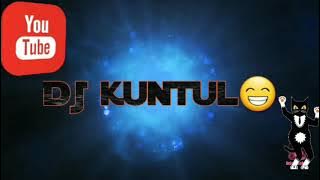 DJ kuntul