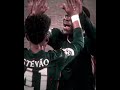 Caicado edit