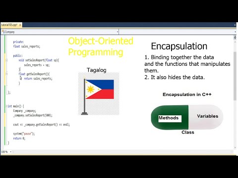 Video: Ano ang mga diskarte sa encapsulation?