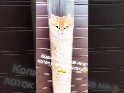 27 июня 2026 г.