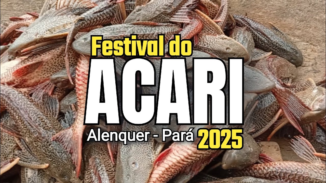 FESTIVAL DO ACARI 2025 | Alenquer-Pará