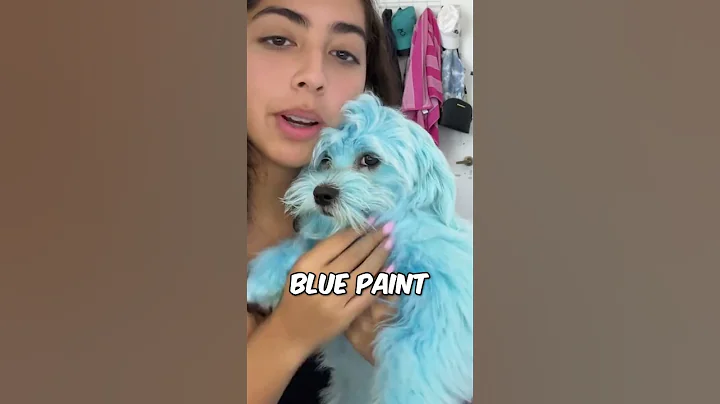 This turned her dogs blue by accident 🫢 - DayDayNews