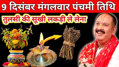 9 दिसंबर पौष मंगलवार पंचमी के दिन तुलसी की सूखी लकड़ी वाला उपाय जरुर करें || pandit pradeep mishra||