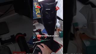 Why Does My Cat Suddenly Bite Me When Petting 😾💢⁉️ #shorts #catworld