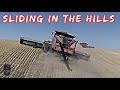 Chasing Cows with Combines!