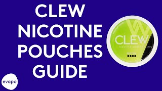 Clew Nicotine Pouches Guide
