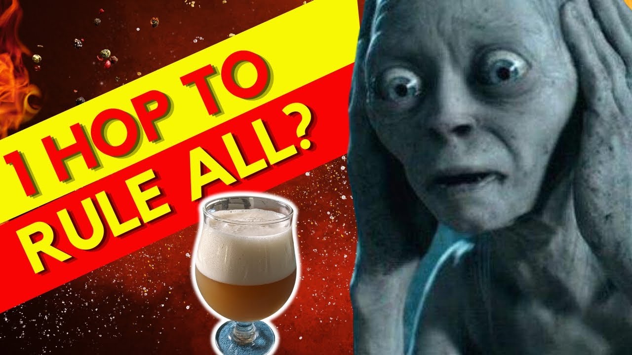 Beer Single Hop Addition ? Yup