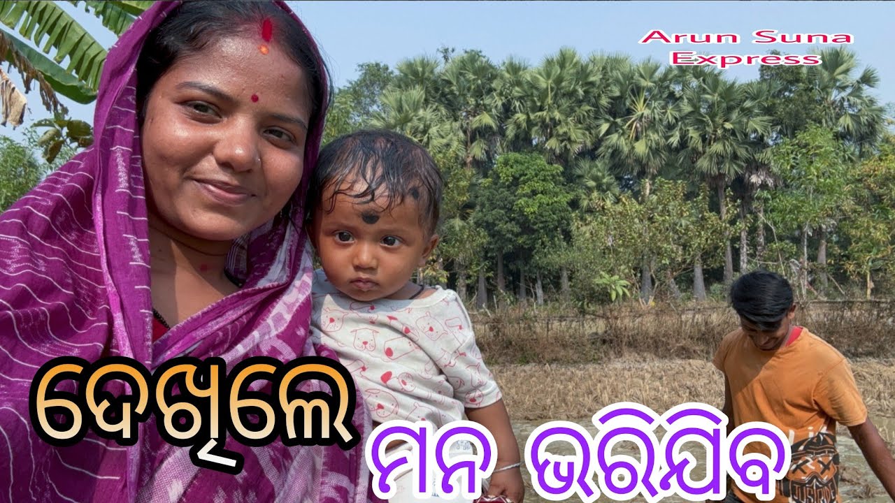 ଦେଖିଲେ ମନ ଭରିଯିଵ/Arun Suna Express 
