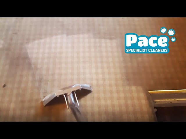 Carpet Cleaning in Sunderland