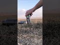 hatsan mod 125 sniper vortex 55 metre dürbün süz atışlar