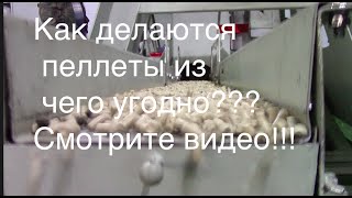 Скарабей   производство пеллет (видео от Твердотоп)(Компания Твердотоп посетила производственное объединение Техприбор в городе Щекино тульской области...., 2016-06-07T07:14:04.000Z)