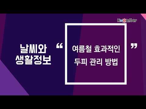 [케이웨더 날씨] 6월 17일_여름철 효과적인 두피 관리 방법