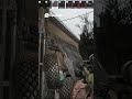 WARNING! Enemy Spotted  Intense Close Quarters Combat! #escapefromtarkov #tarkovgame #tarkov