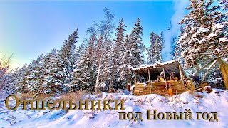 Отшельники под Новый год 🎄(30 лет одиночества 21 серия)