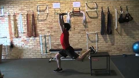 Plyo Box Split Squat (with plate overhead)