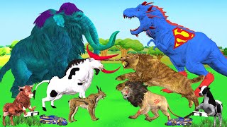 Super Man Dinosaur vs wholly Mammoth  zombie lion historic lion bull pumas  funny animal fighting