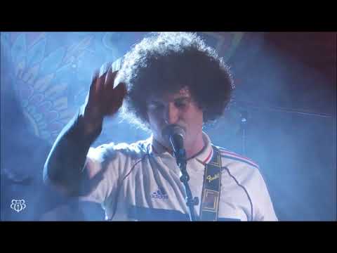 SLOMOSA - HORSES