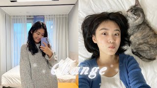 돌고 돌아 단발‍♀… 히피펌 이별 브이로그 VLOG