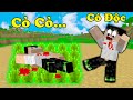 THẮNG TÊ TÊ PHÁT HIỆN TOÀN BỘ CỎ TRONG MINECRAFT ĐỀU CÓ CỰC ĐỘC