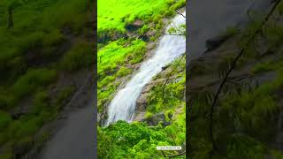 Relaxing Waterfall in 10 Seconds | Nature ASMR #Shorts #natureshorts #waterfall #nature #gamtng