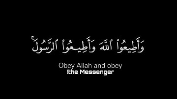 وأطيعوا الله وأطيعوا الرسول | القران الكريم | كرومات قران | شاشة سوداء | القارئ رعد الكردي