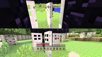 (Minecraft: PlayStation®4 Edition)How to trap a Minecraft noob!!!