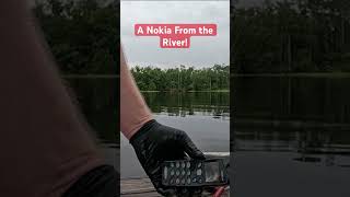 I Pulled a Nokia 5190 Out of the Water #MagnetFishing #Nokia5190 #NokiaPhone
