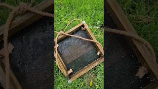 Cleaning Shady Pines! πΏπ² | Part 2