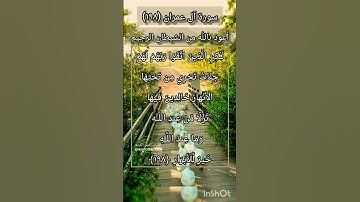 سورة آل عمران الآية ١٩٨