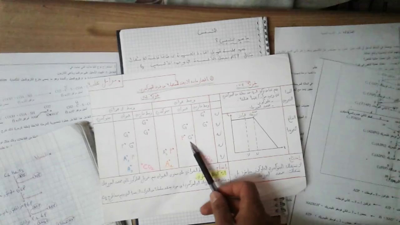 التنفس الدرس التاني التحلل السكري