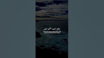 تلاوة خاشعة للقرآن الكريم القارئ الشيخ د.هاشم ابو دلال ✨