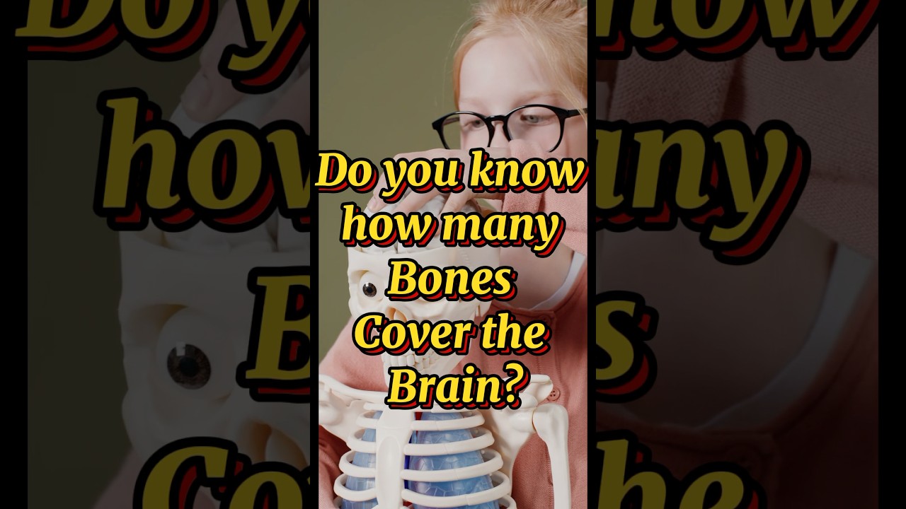 The Shocking Discovery of Bones in the Human Brain