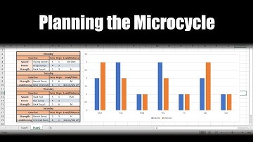 Planning the Microcycle for the Physical Preparation Training of Athletes | Programming