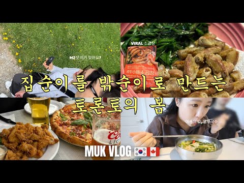 [먹방 브이로그🇰🇷🇨🇦] 집순이도 밖순이로 만드는 토론토의 봄🌸 (바이럴 소곱창, 열무국수, 홈메이드 버거, 동네 펍)