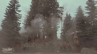 a snowy morning that feels like a memory | indie folk playlist + nature sounds