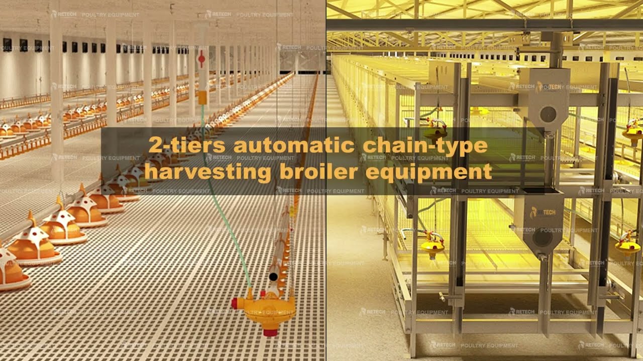 2-Tiers Broiler Cage, Specially Designed For Conversion From Floor Type To Cage Type - RETECH
