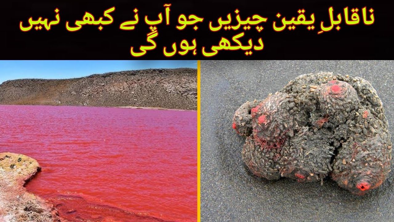 5 Unbelievable Natural Phenomena You Won’t Believe Exist - YouTube
