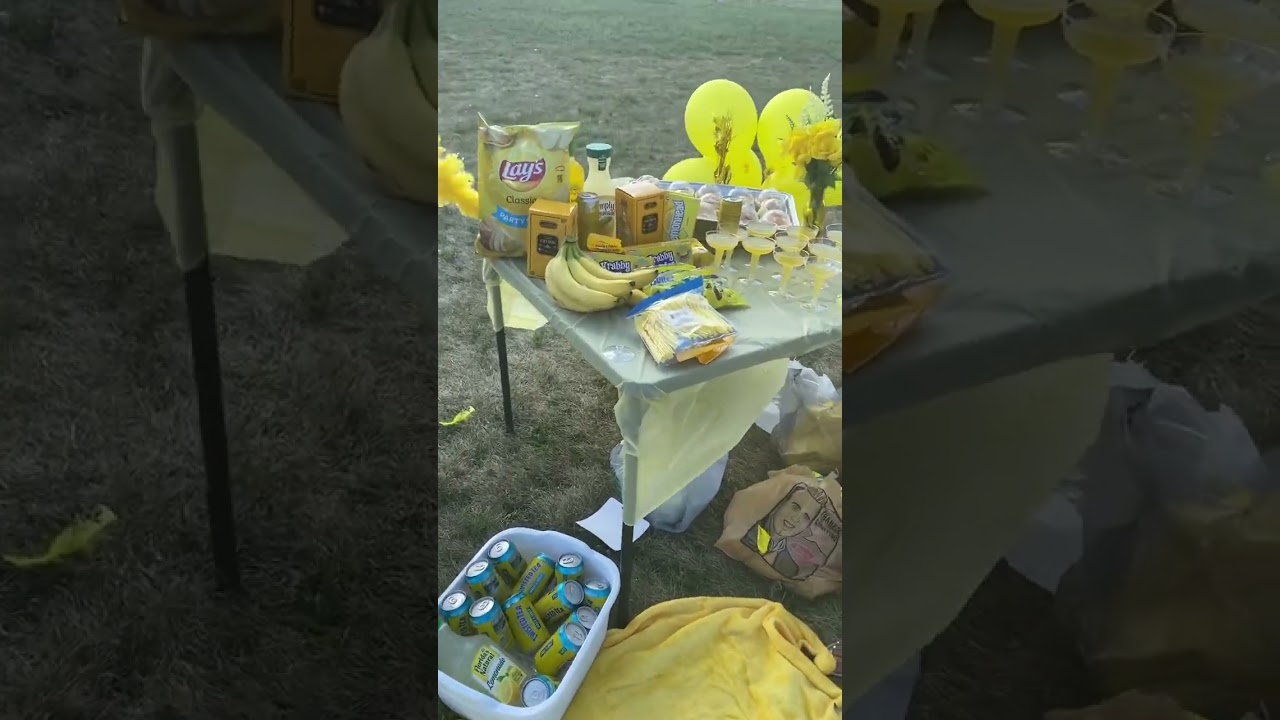 Our cousins color picnic