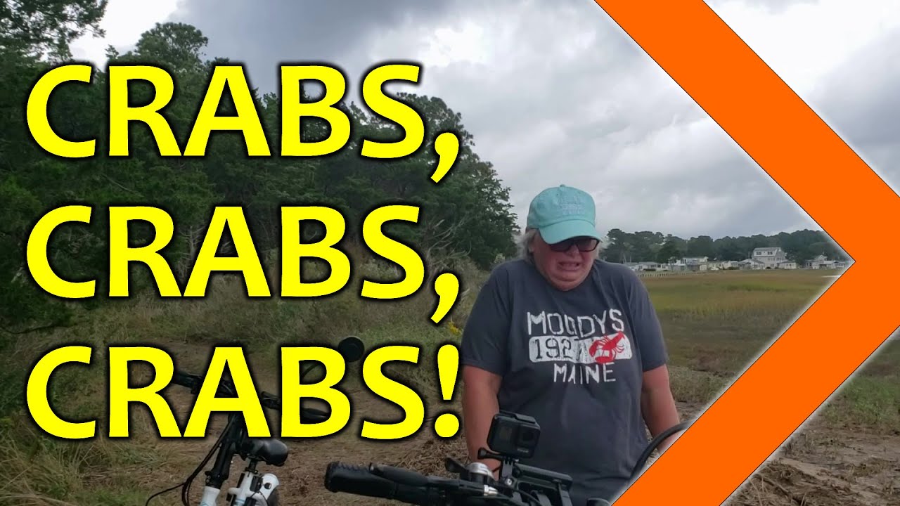 When Crabs ATTACK! YouTube